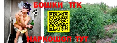 ешки Бердск
