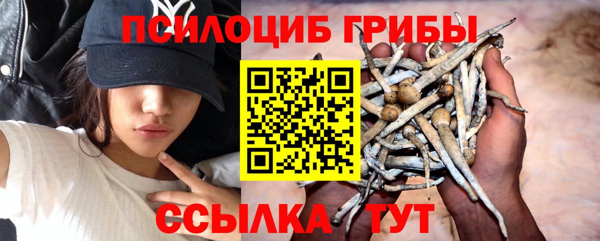 Псилоцибиновые грибы Psilocybine cubensis  Вход с VPN  Воркута 